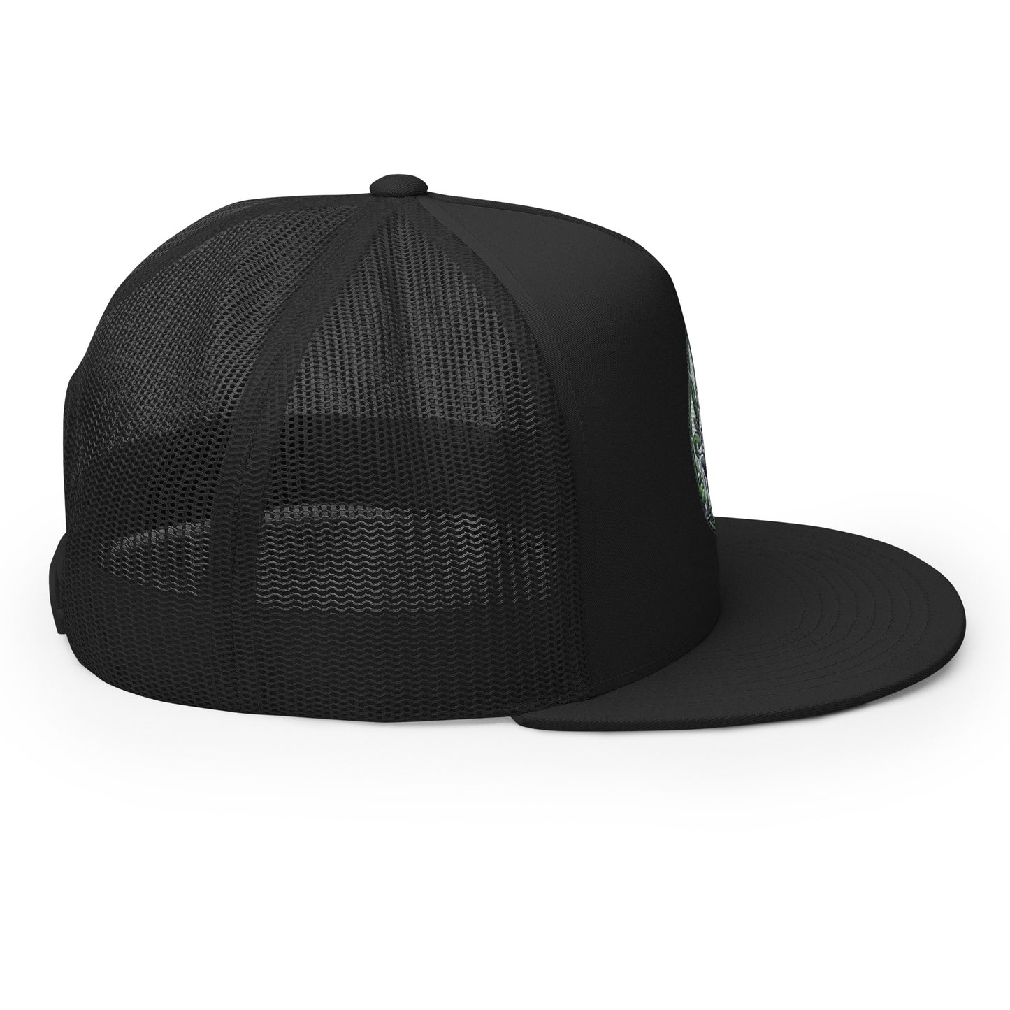 Vibrant Visions - Organic Health & Wellness - Classic Hat, Trucker Cap, Snap back hat